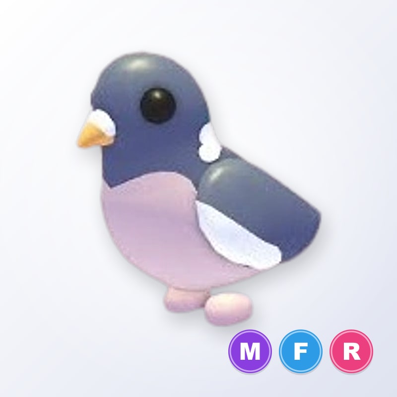 Wood Pigeon MFR | Adopt Me