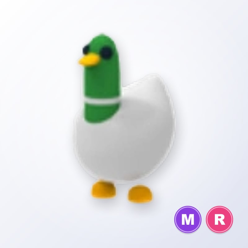 Silly Duck MR | Adopt Me