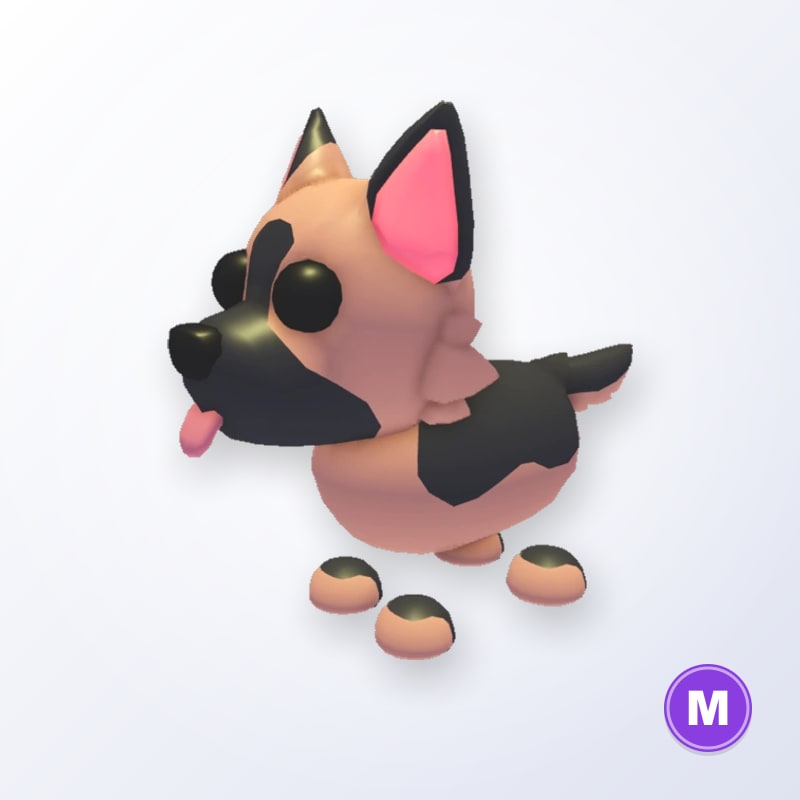 German Shepherd M | Adopt Me