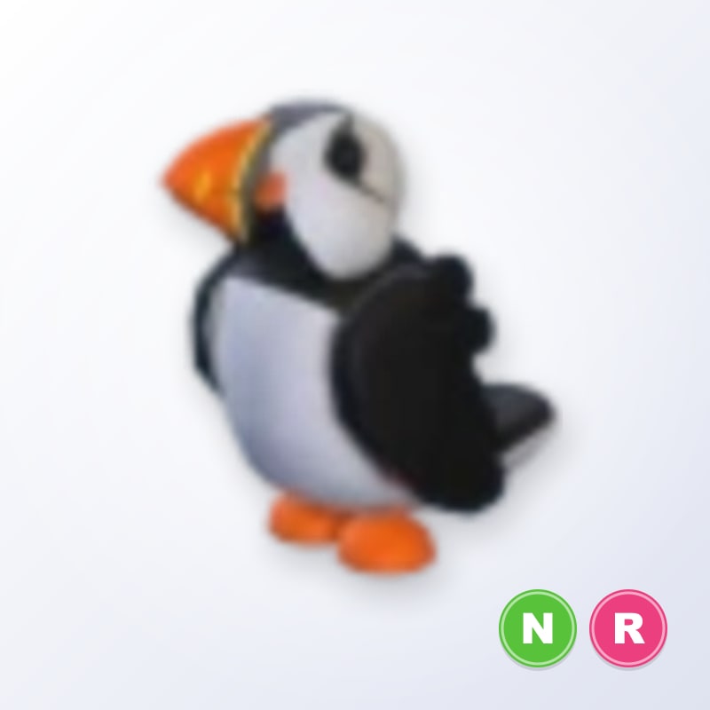 Puffin NR | Adopt Me
