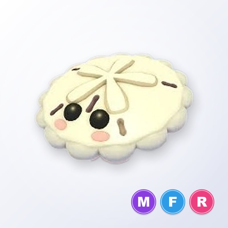 White Sand Dollar MFR | Adopt Me