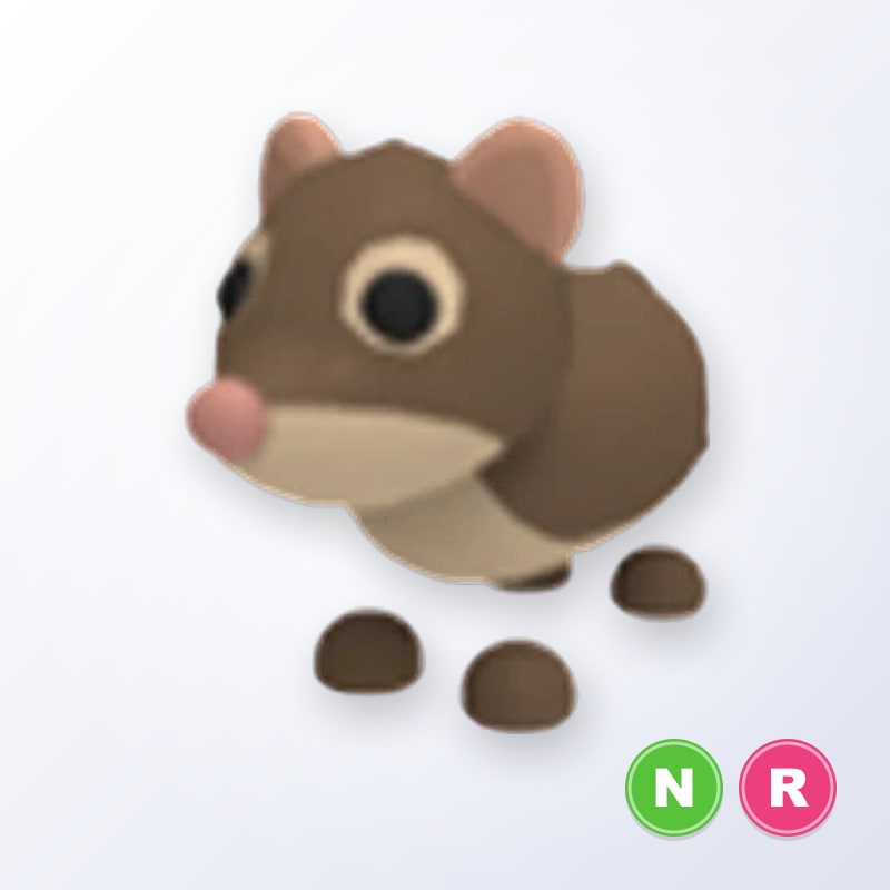 Shrew NR | Adopt Me
