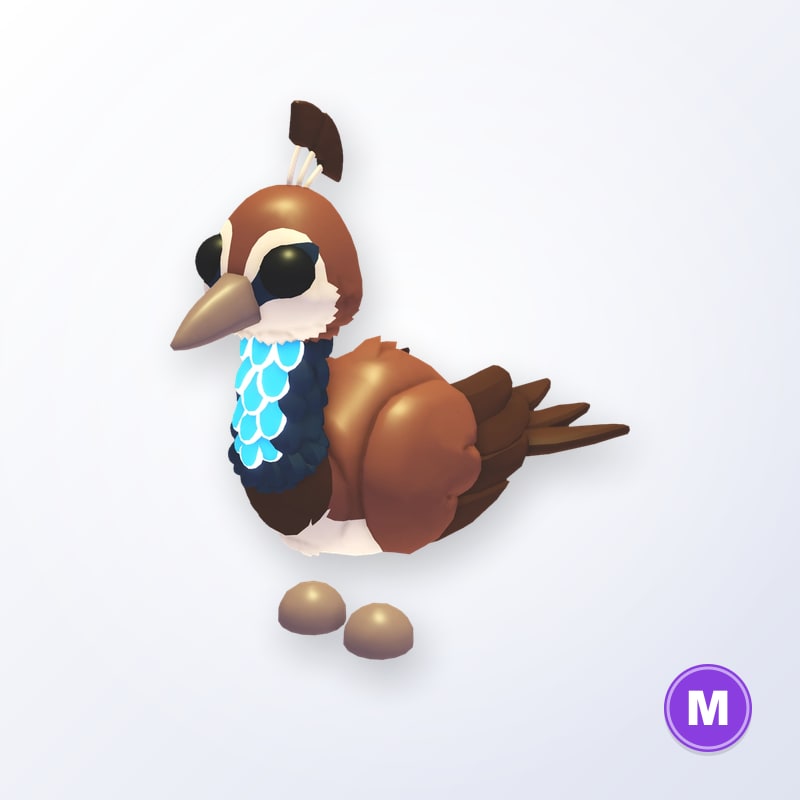 Peahen M | Adopt Me