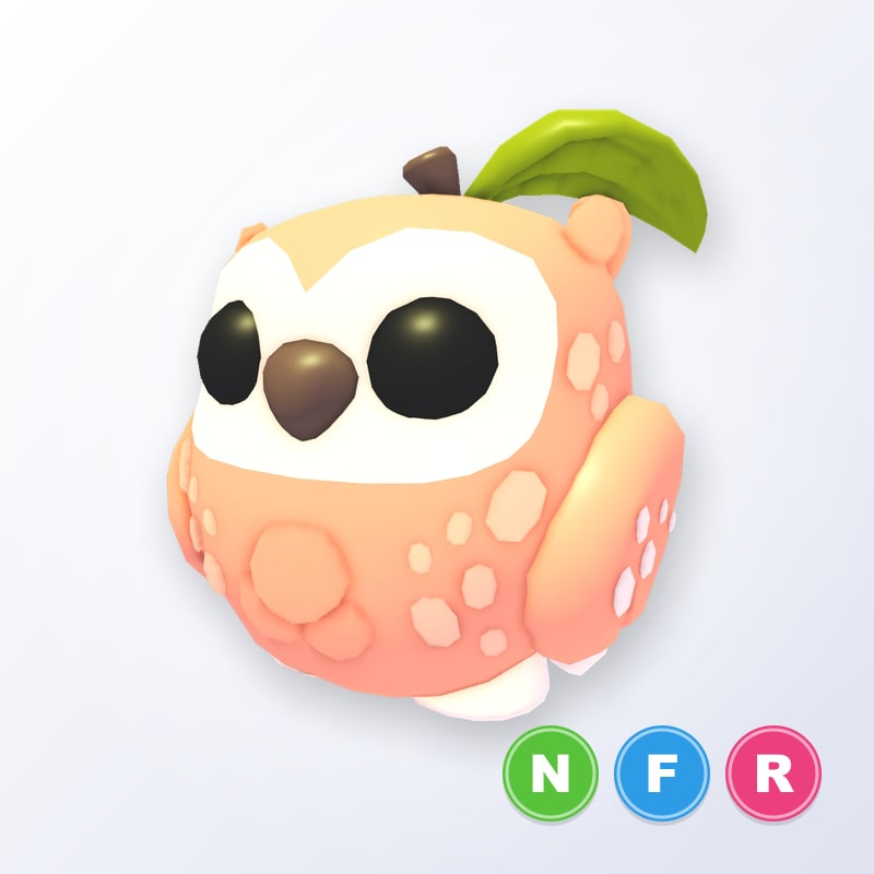 Peach Owl NFR | Adopt Me