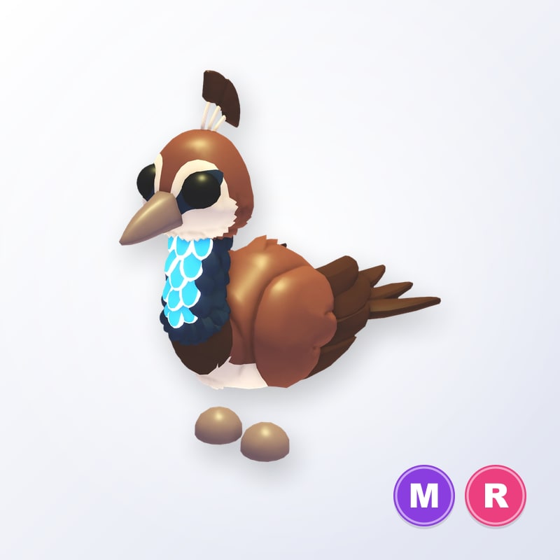 Peahen MR | Adopt Me