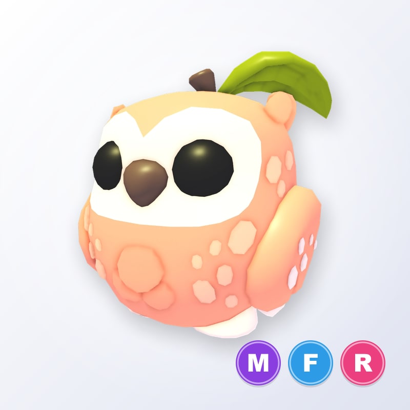 Peach Owl MFR | Adopt Me