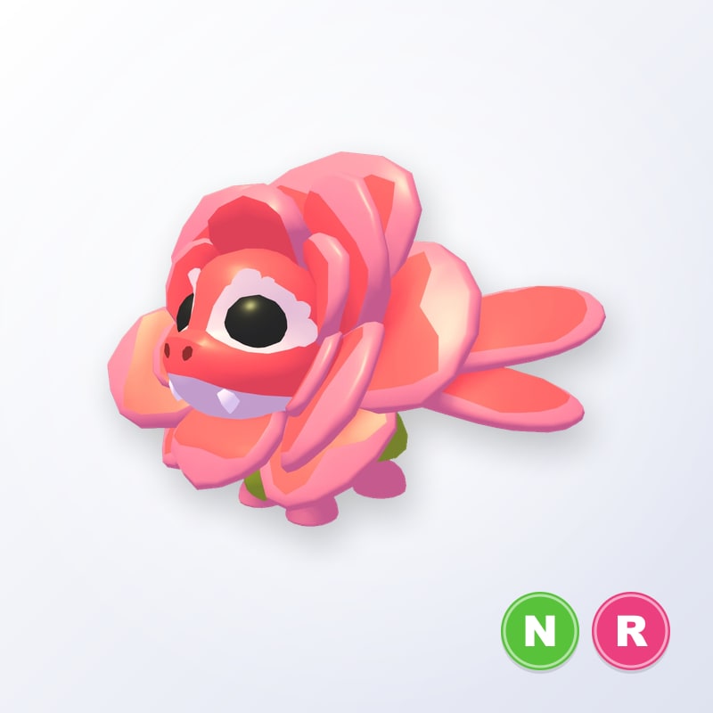 Rose Dragon NR | Adopt Me