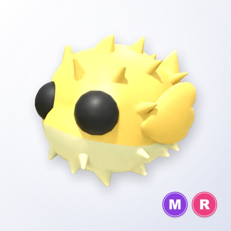 Puffer Fish MR | Adopt Me