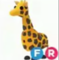 FR Giraffe