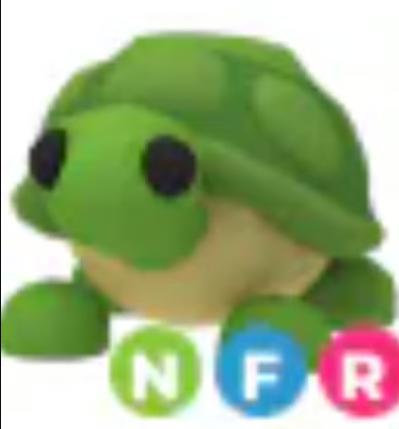 NFR Turtle