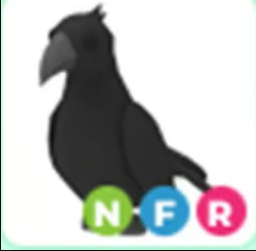 NFR Crow