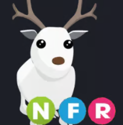 NFR Arctic Reindeer