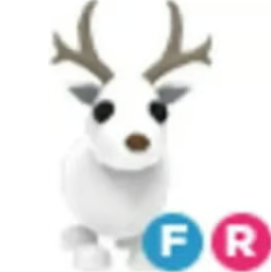 FR Arctic Reindeer