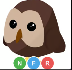 NFR Owl