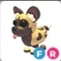 FR African Wild Dog