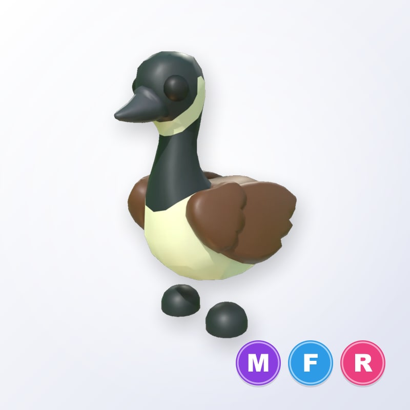 Canadian Goose MFR | Adopt Me