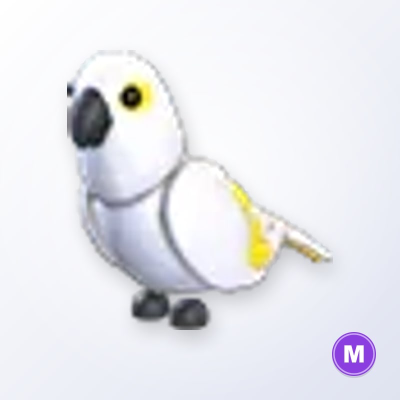 White Amazon M | Adopt Me