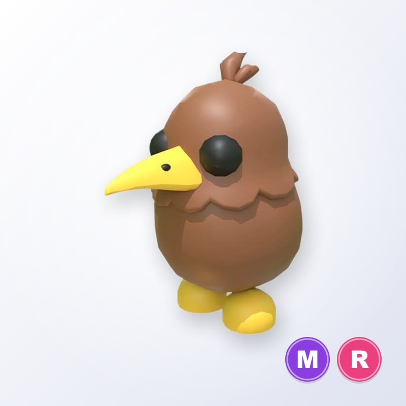 Kiwi MR | Adopt Me