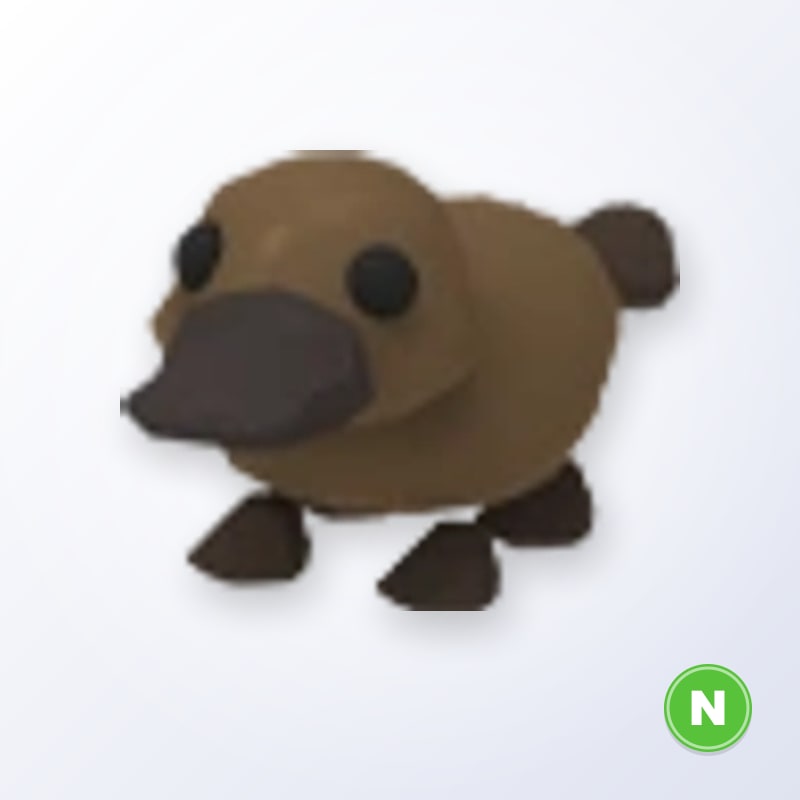 Platypus N | Adopt Me