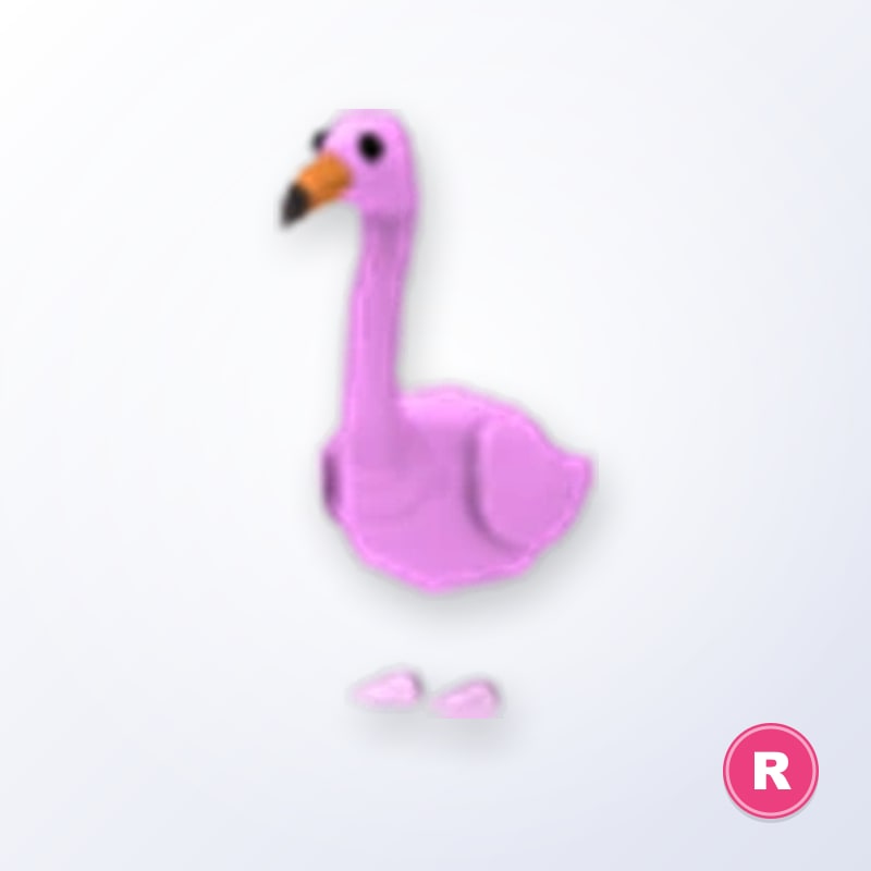 Flamingo R | Adopt Me