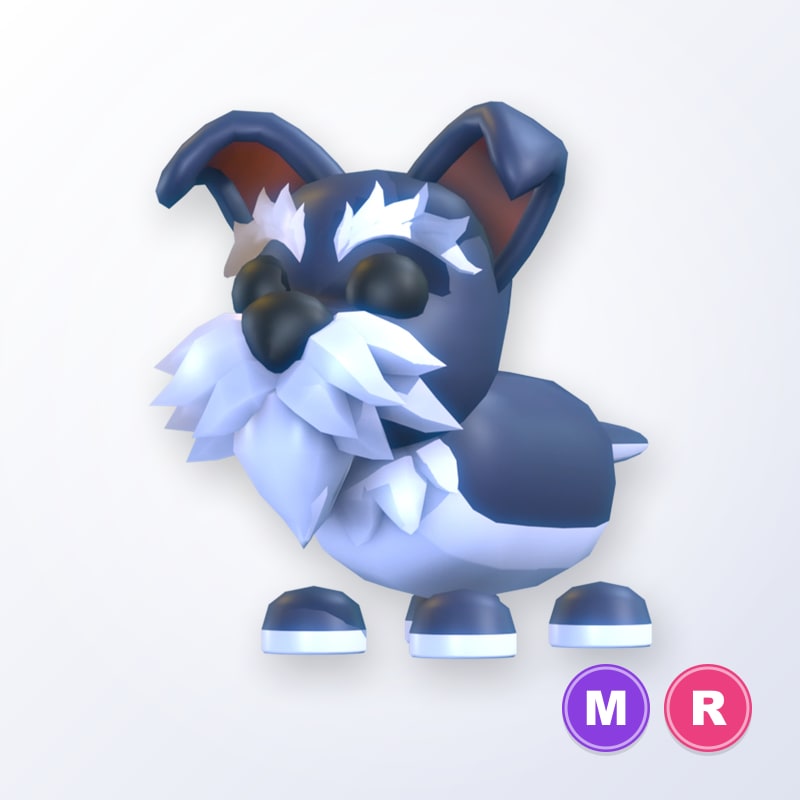 Mini Schnauzer MR | Adopt Me