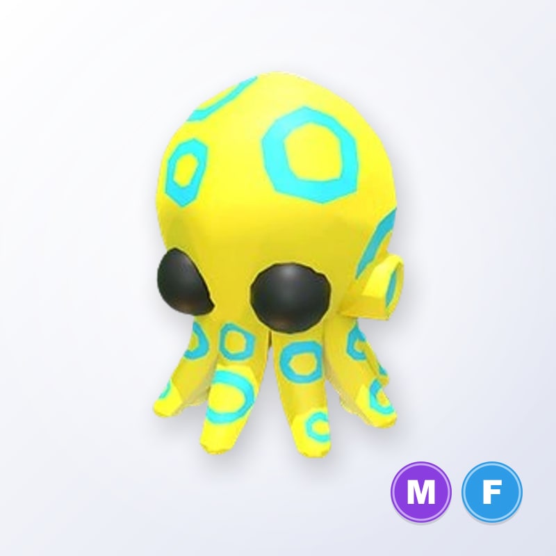 Blue Ringed Octopus MF | Adopt Me
