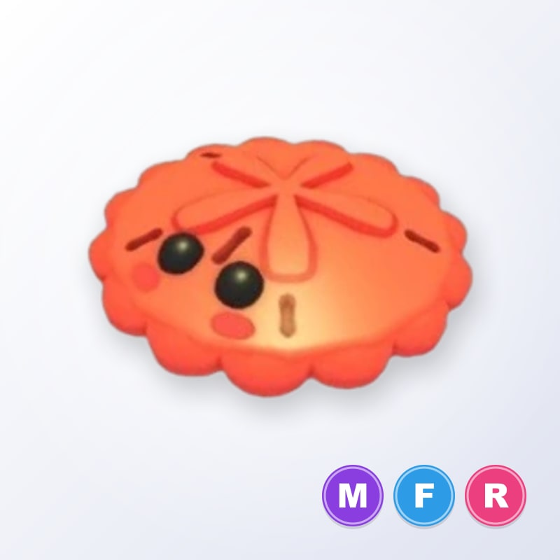 Red Sand Dollar MFR | Adopt Me