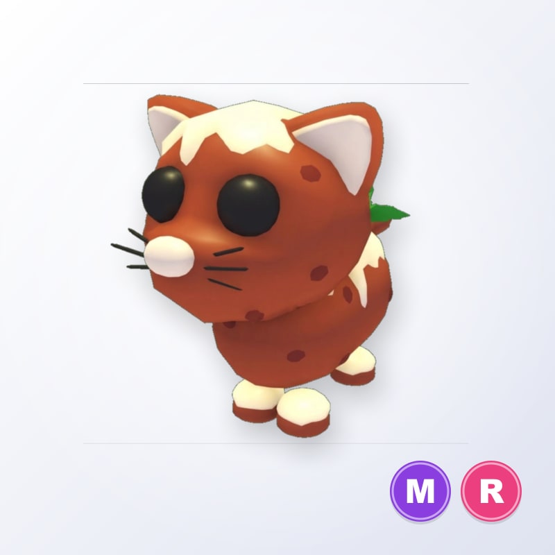 Pudding Cat MR | Adopt Me