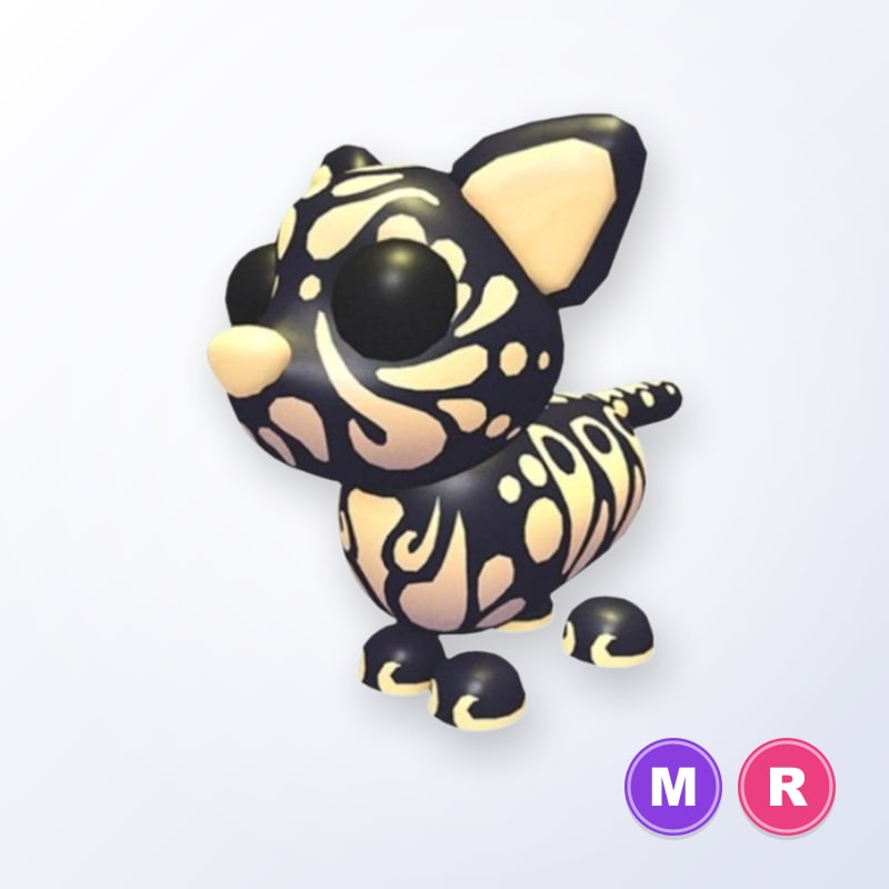Golden Jaguar MR | Adopt Me