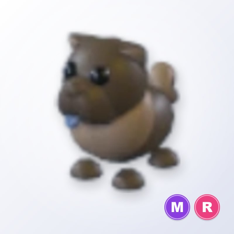 Chocolate Chow-Chow MR | Adopt Me