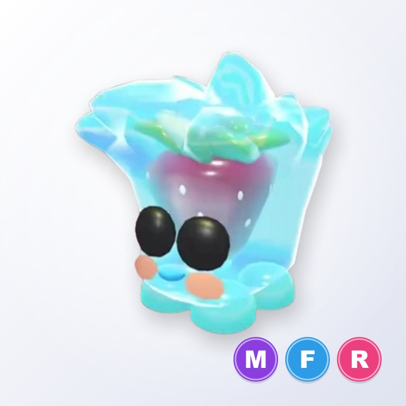 Berry Cool Cube MFR | Adopt Me