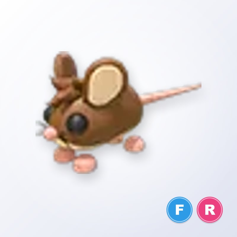 Field Mouse FR | Adopt Me
