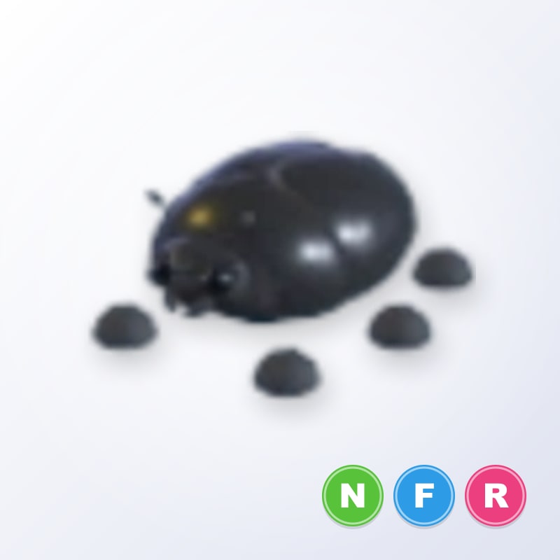 Giant Black Scarab NFR | Adopt Me
