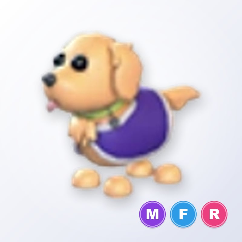 Therapy Dog MFR | Adopt Me