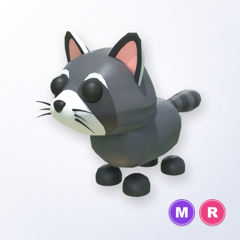 Raccoon MR | Adopt Me