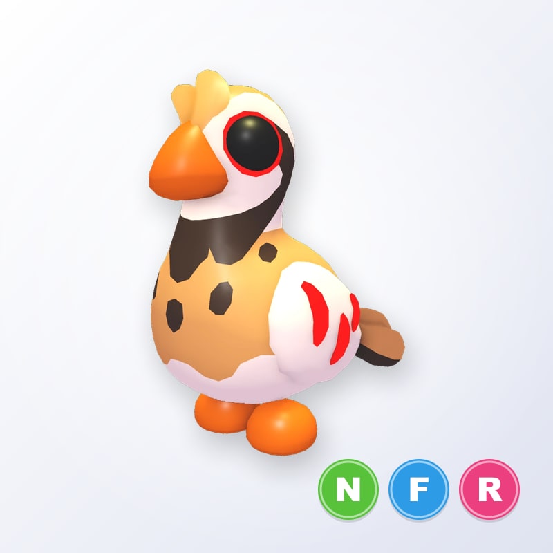Partridge NFR | Adopt Me
