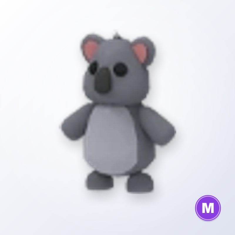 Koala M | Adopt Me