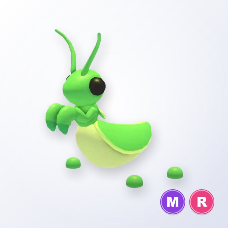 Praying Mantis MR | Adopt Me