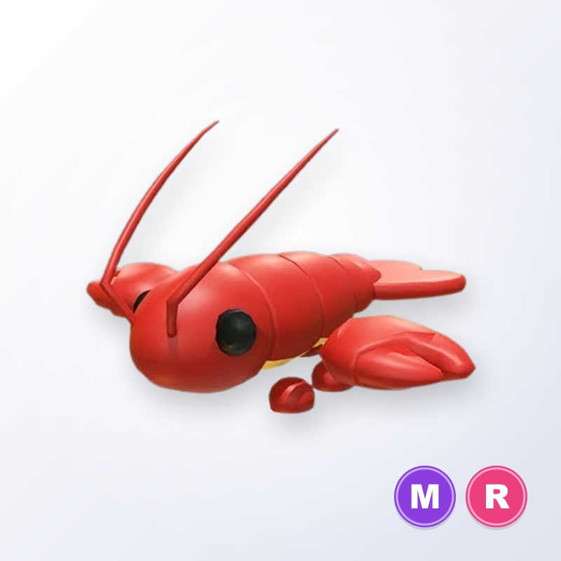 Lobster MR | Adopt Me