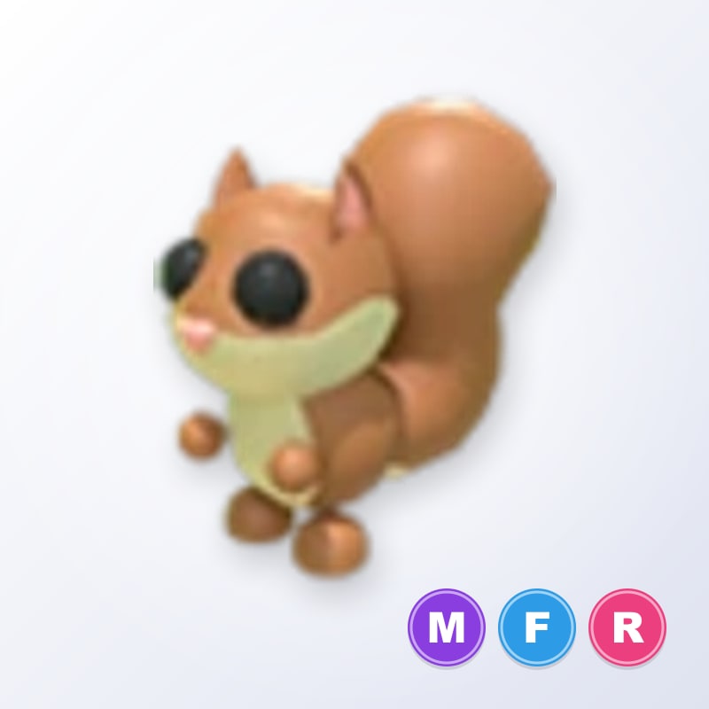 Red Squirrel MFR | Adopt Me