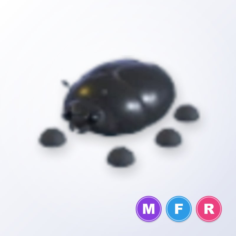 Giant Black Scarab MFR | Adopt Me