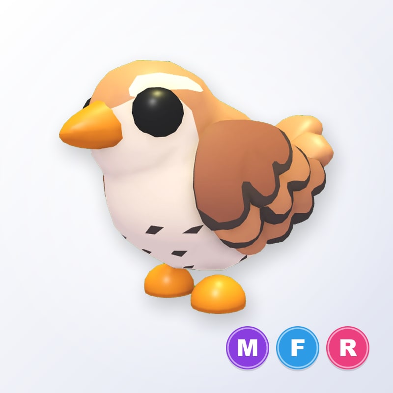 Wren MFR | Adopt Me