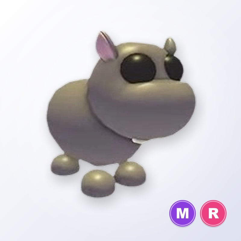 Hippo MR | Adopt Me