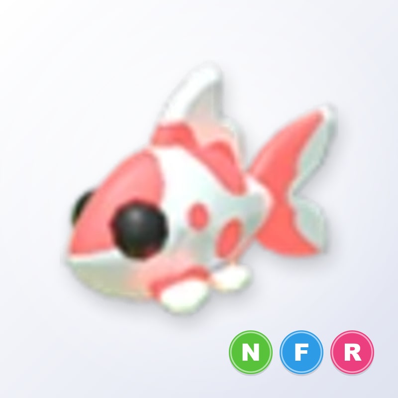 Koi Carp NFR | Adopt Me