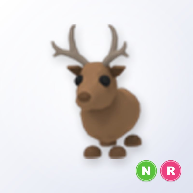 Reindeer NR | Adopt Me