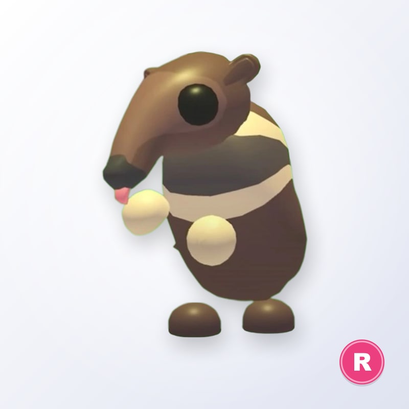 Giant Anteater R | Adopt Me