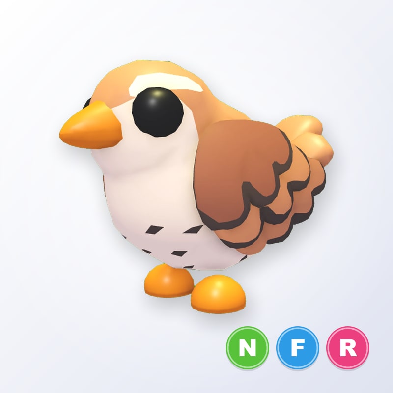 Wren NFR | Adopt Me