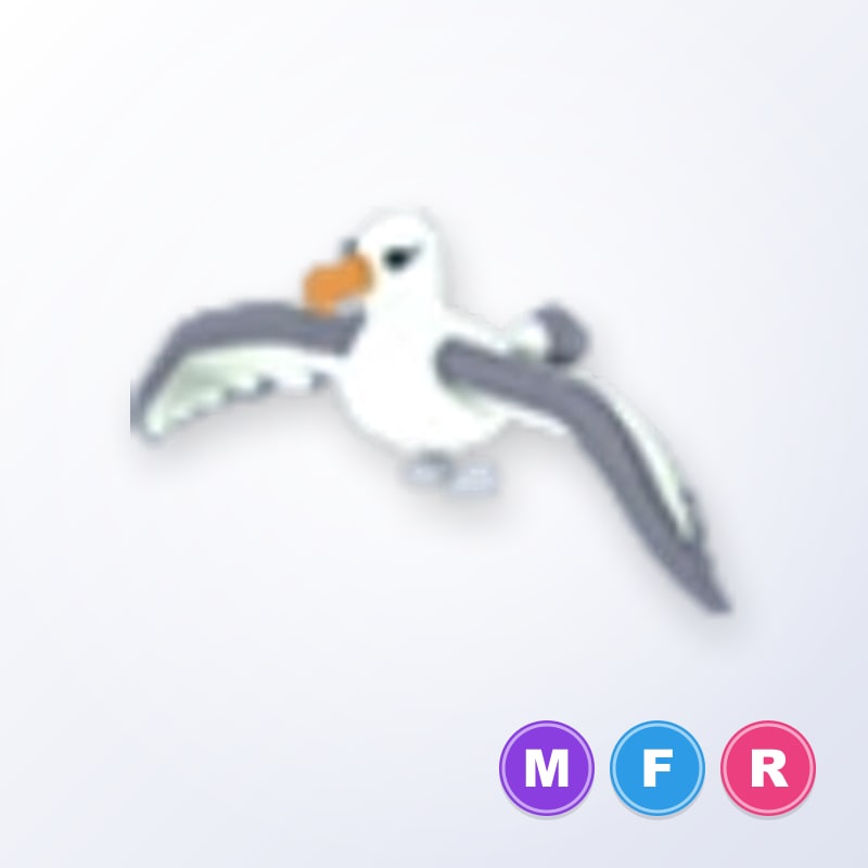 Albatross MFR | Adopt Me