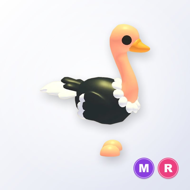 Ostrich MR | Adopt Me