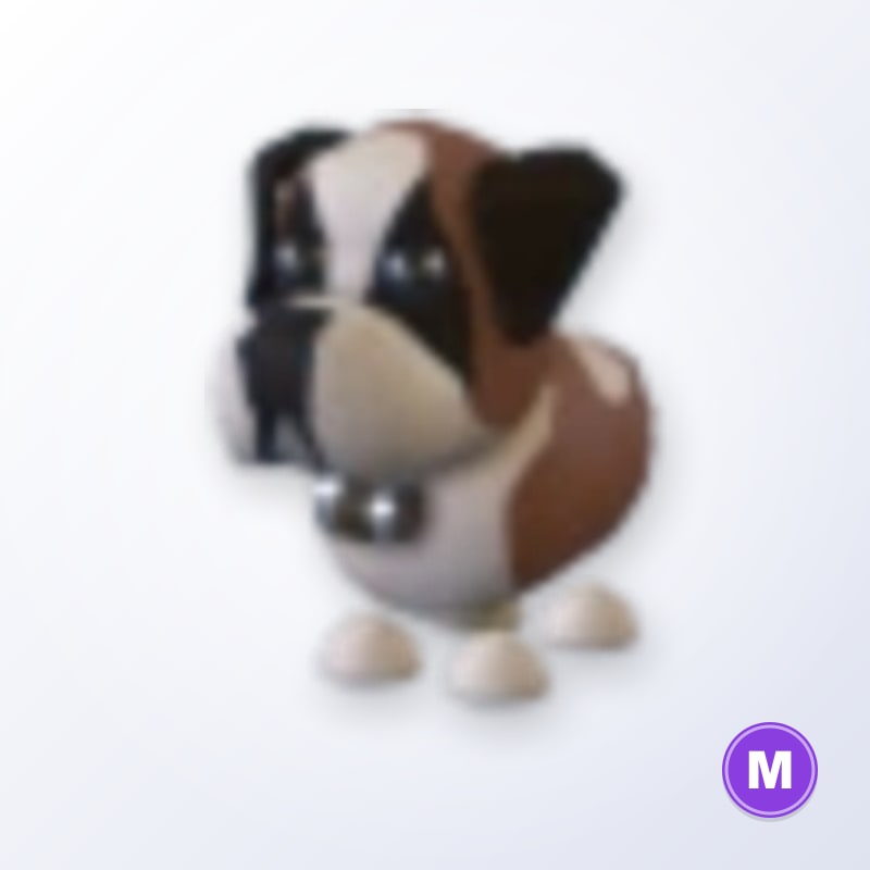 St Bernard M | Adopt Me